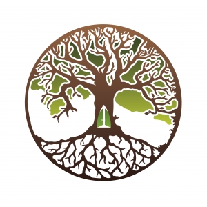 Logo de la structure Origins Productions Logo de la structure Origins Productions