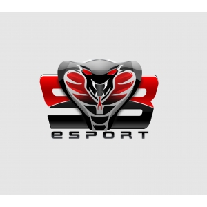 Logo de la structure Same Blood E-sport Logo de la structure Same Blood E-sport
