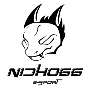 Logo du partenaire NidhoGG E-sport